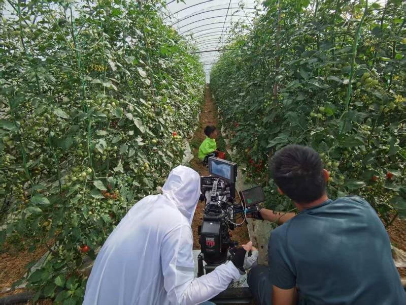 船营区产品宣传视频拍摄公司进阶指南，助力品牌抢占传播高地